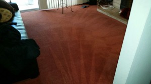 Carpet Cleaning Tomball 12e693d8a46ab513a76cd4a49aef1394